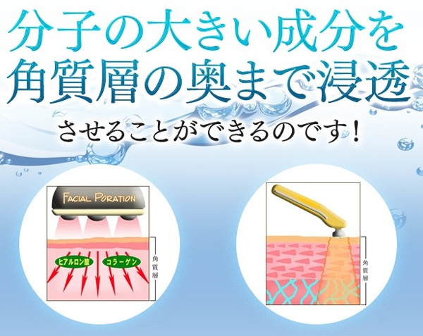 コアパルス機能(エレクトロポレーション)